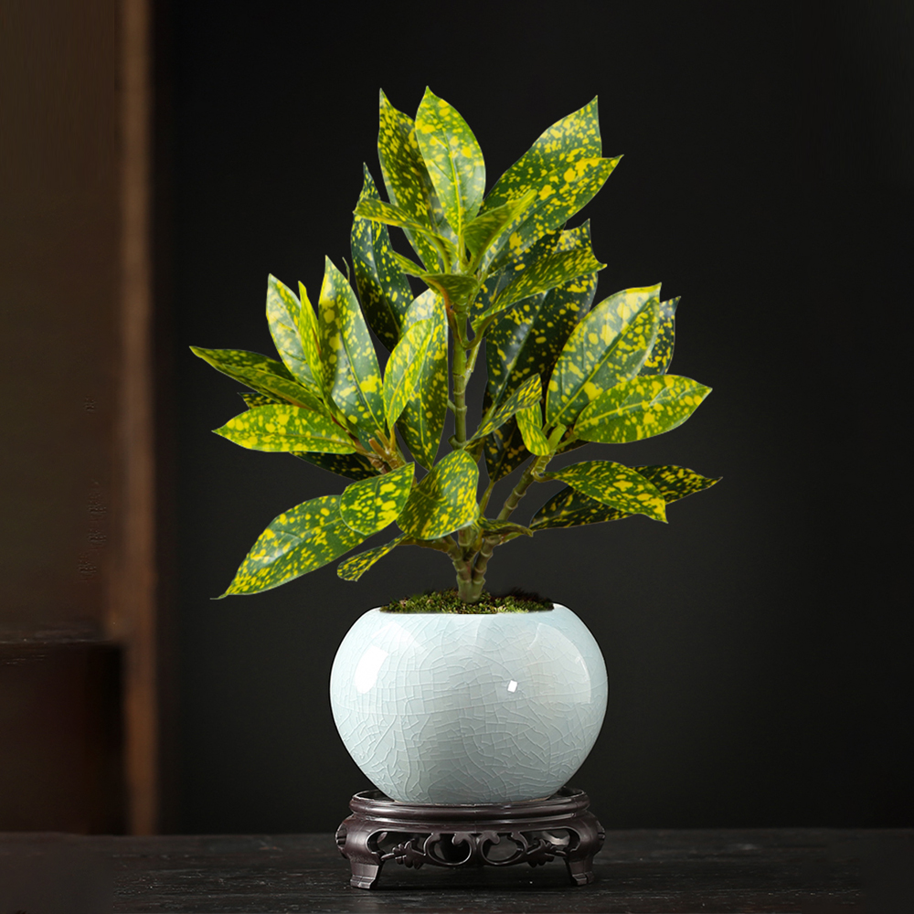 24-41cm Artificial Ficus Tree  - مراجعة Ficus Lyrata Tree وسعره