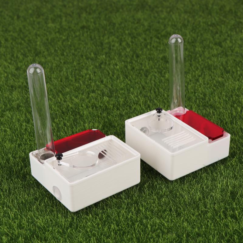 【Peace】3D Printed Ant Farm Que - مراجعة Begonia Rex وسعره