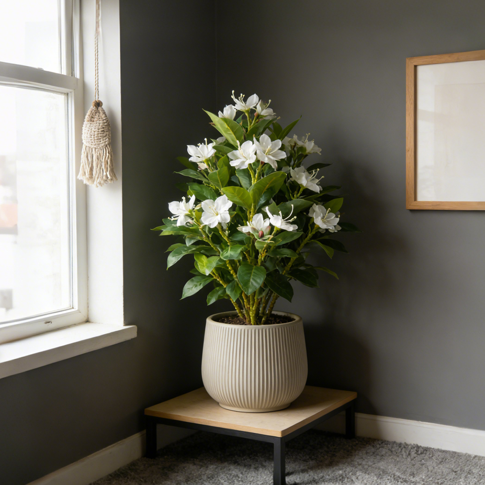 21-40cm Artificial Azalea Flow - مراجعة Ficus Lyrata Tree وسعره