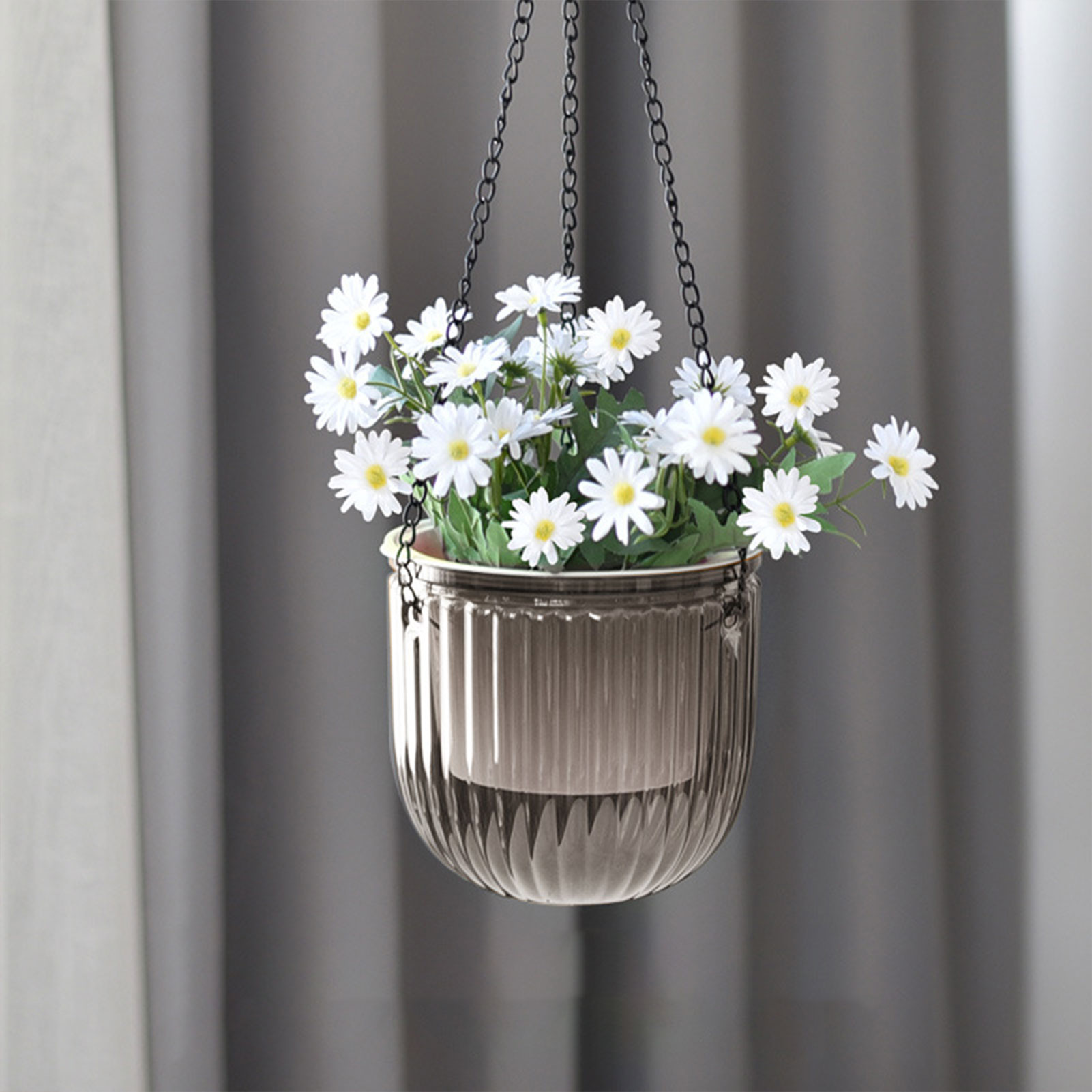 Automatic Self Watering Plant  - مراجعة Spider Plant Hanging وسعره