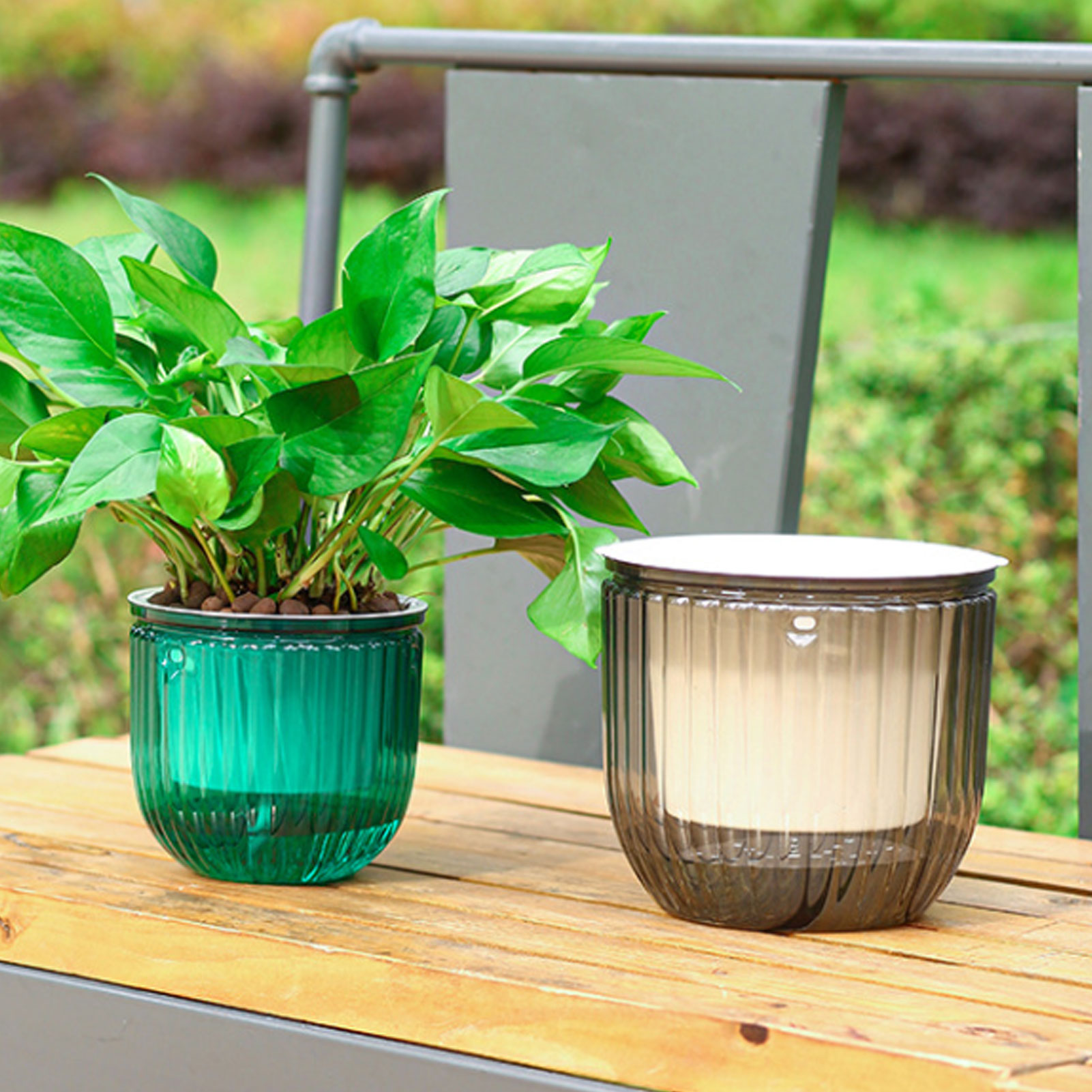 Automatic Self Watering Plant  - مراجعة Spider Plant Hanging وسعره