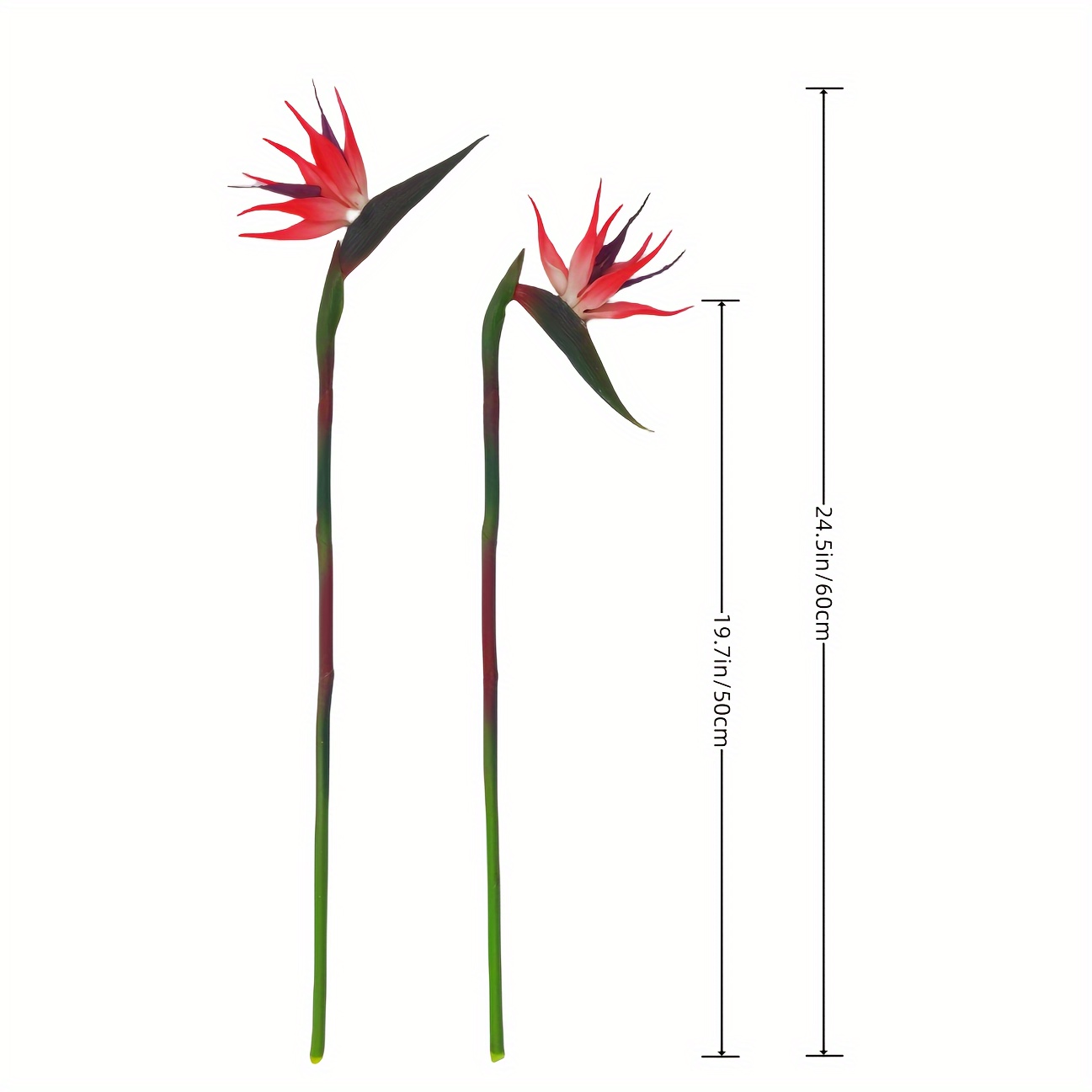 3pcs Artificial Bird Of Paradi - مراجعة Bird Paradise Strelitzia وسعره