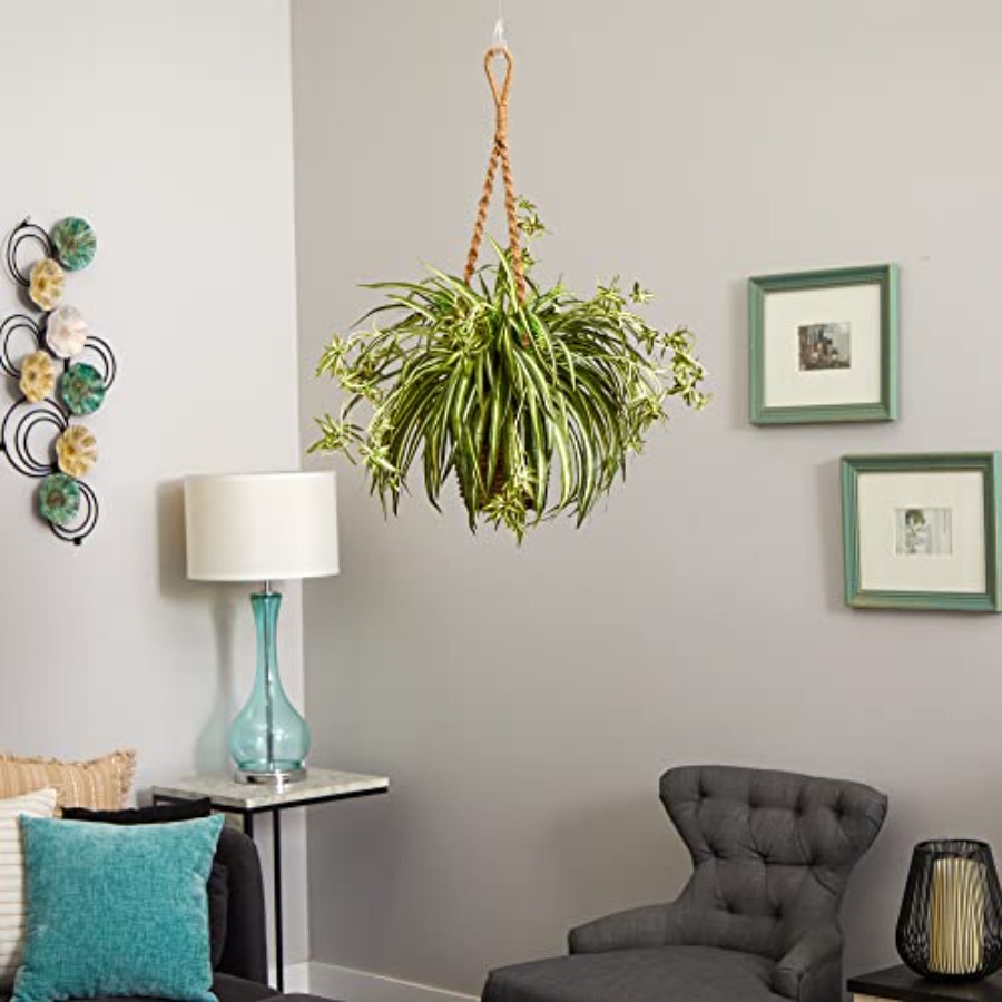 Spider Plant Hanging Basket - مراجعة Spider Plant Hanging وسعره