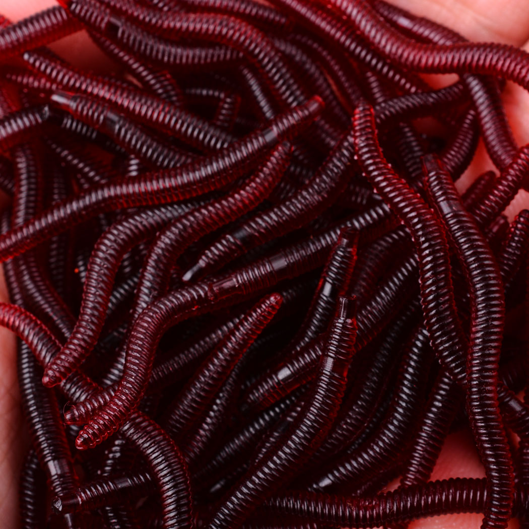 50pcs Lifelike Red Worm Soft L - مراجعة Aglaonema Red وسعره