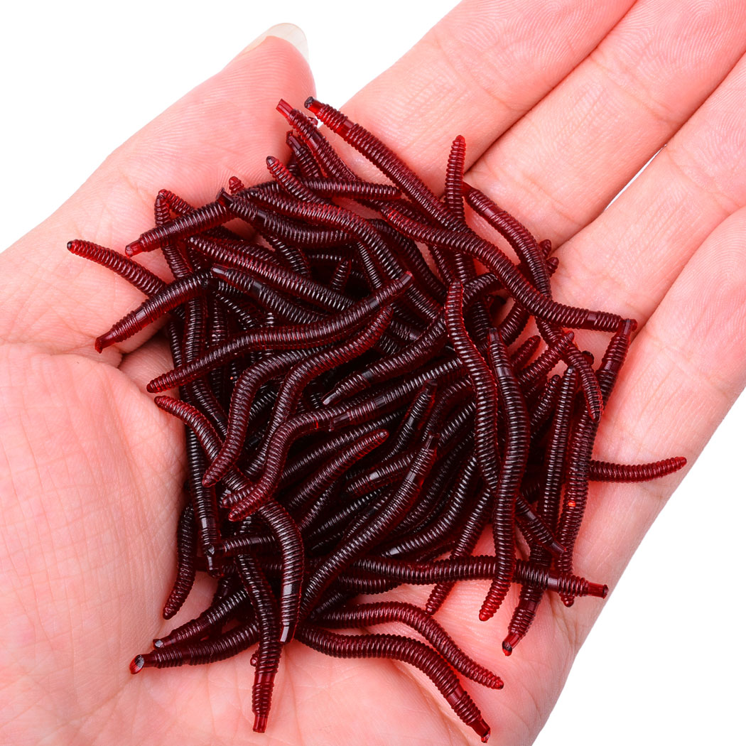 50pcs Lifelike Red Worm Soft L - مراجعة Aglaonema Red وسعره