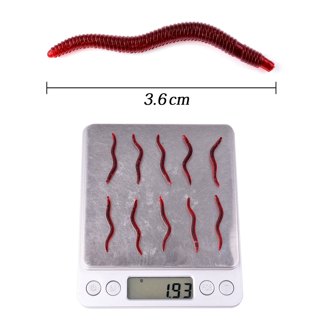 50pcs Lifelike Red Worm Soft L - مراجعة Aglaonema Red وسعره