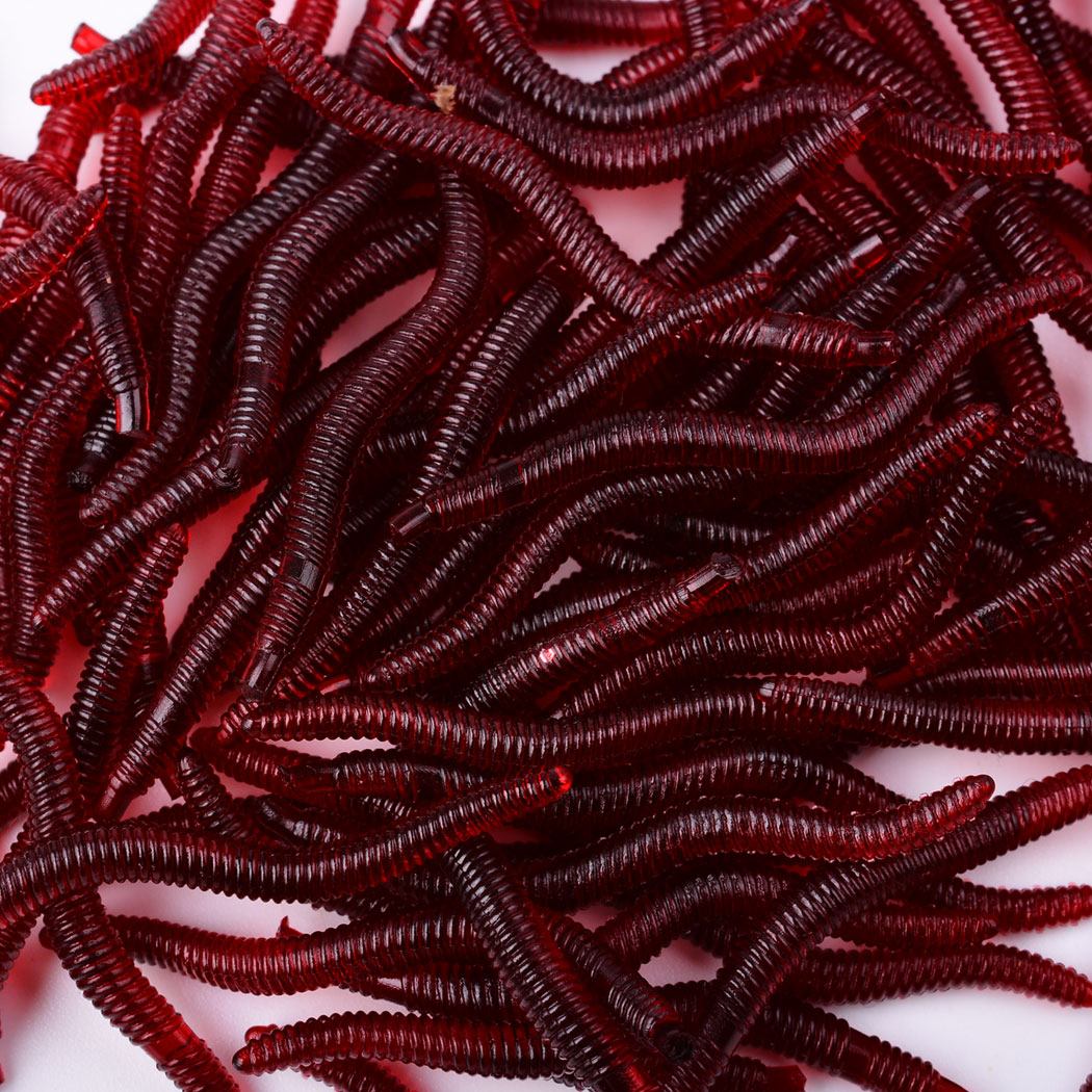 50pcs Lifelike Red Worm Soft L - مراجعة Aglaonema Red وسعره