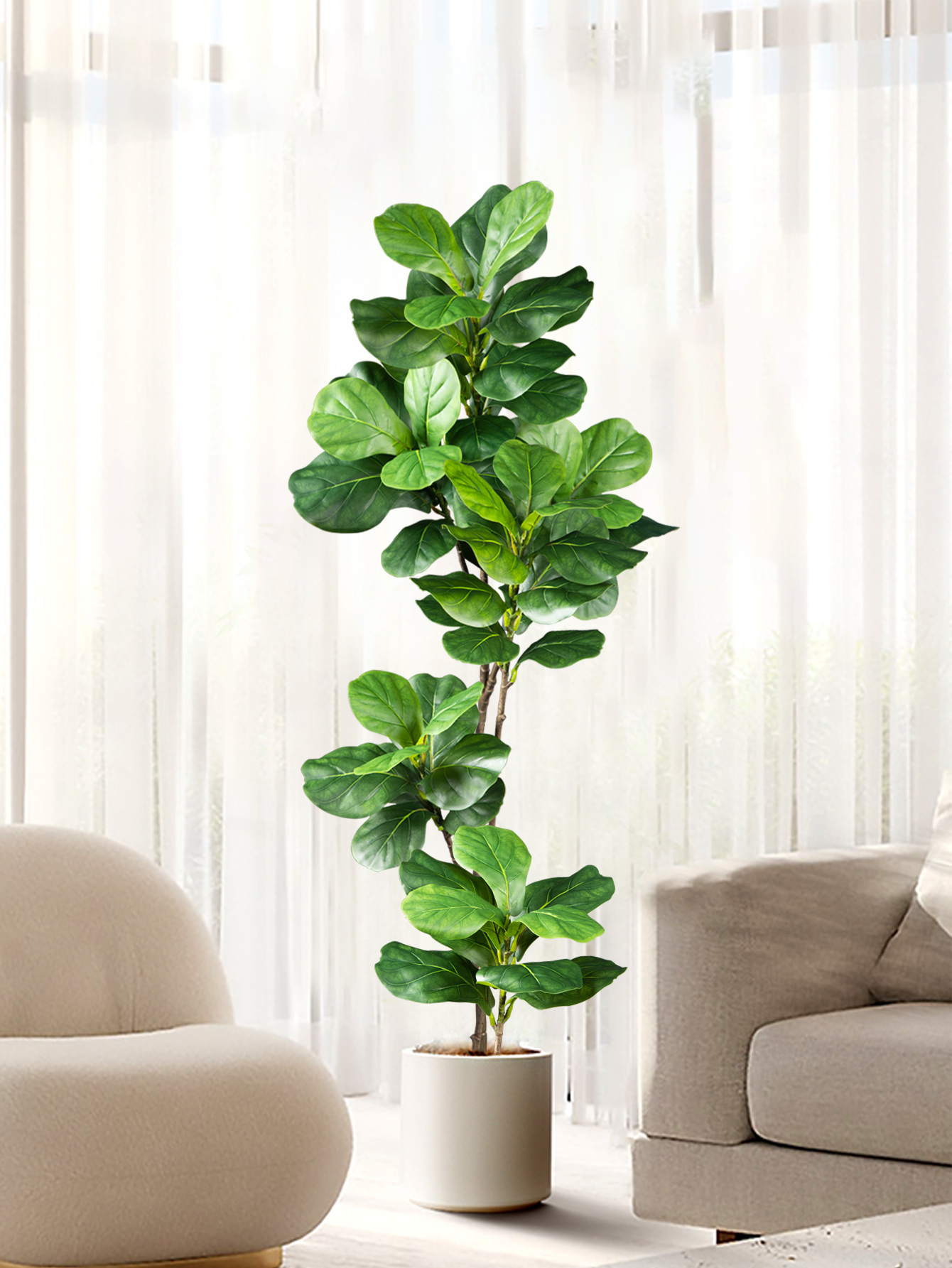 70-135cm Large Artificial Ficu - مراجعة Dracaena Marginata وسعره