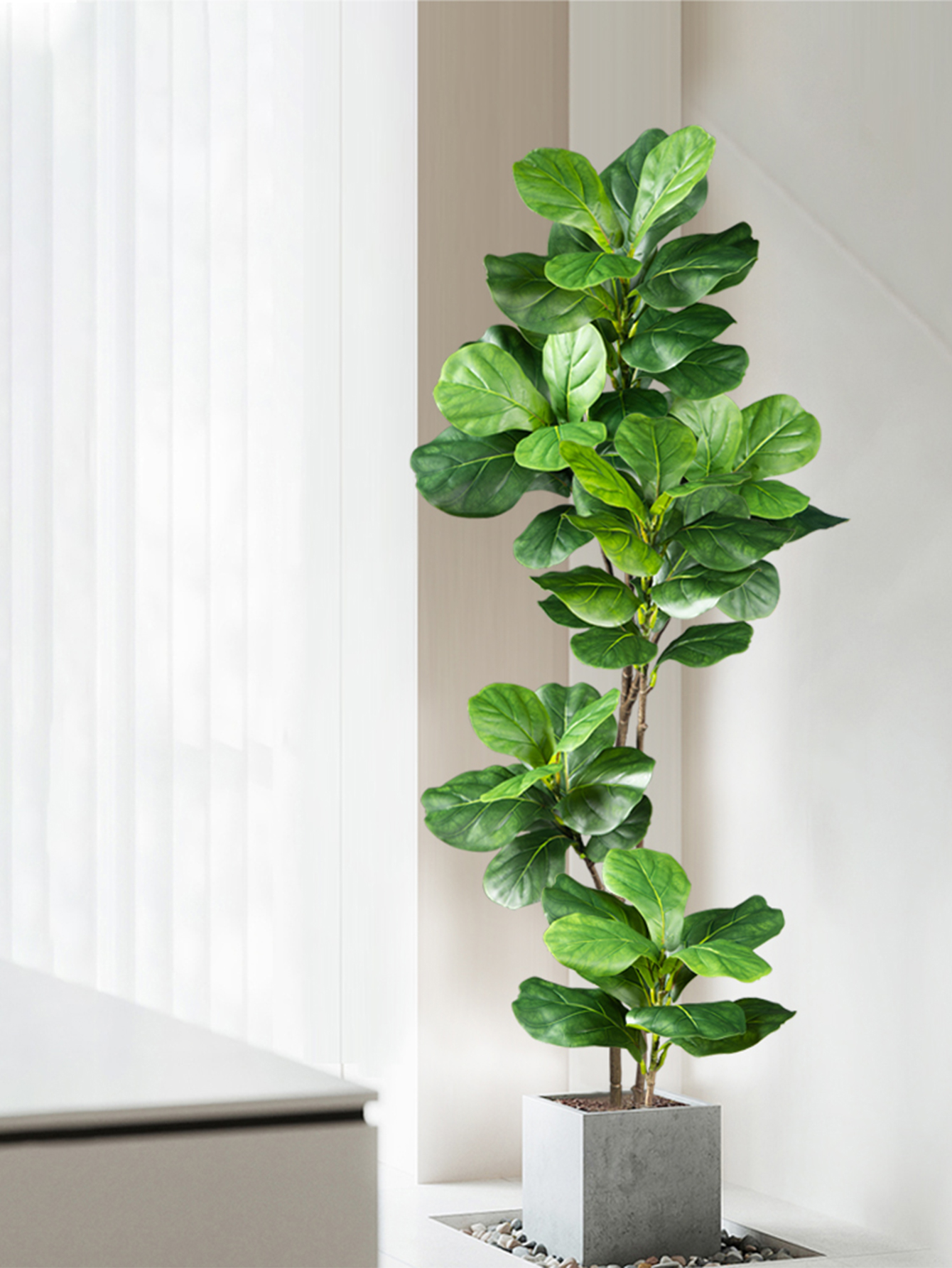 70-135cm Large Artificial Ficu - مراجعة Dracaena Marginata وسعره