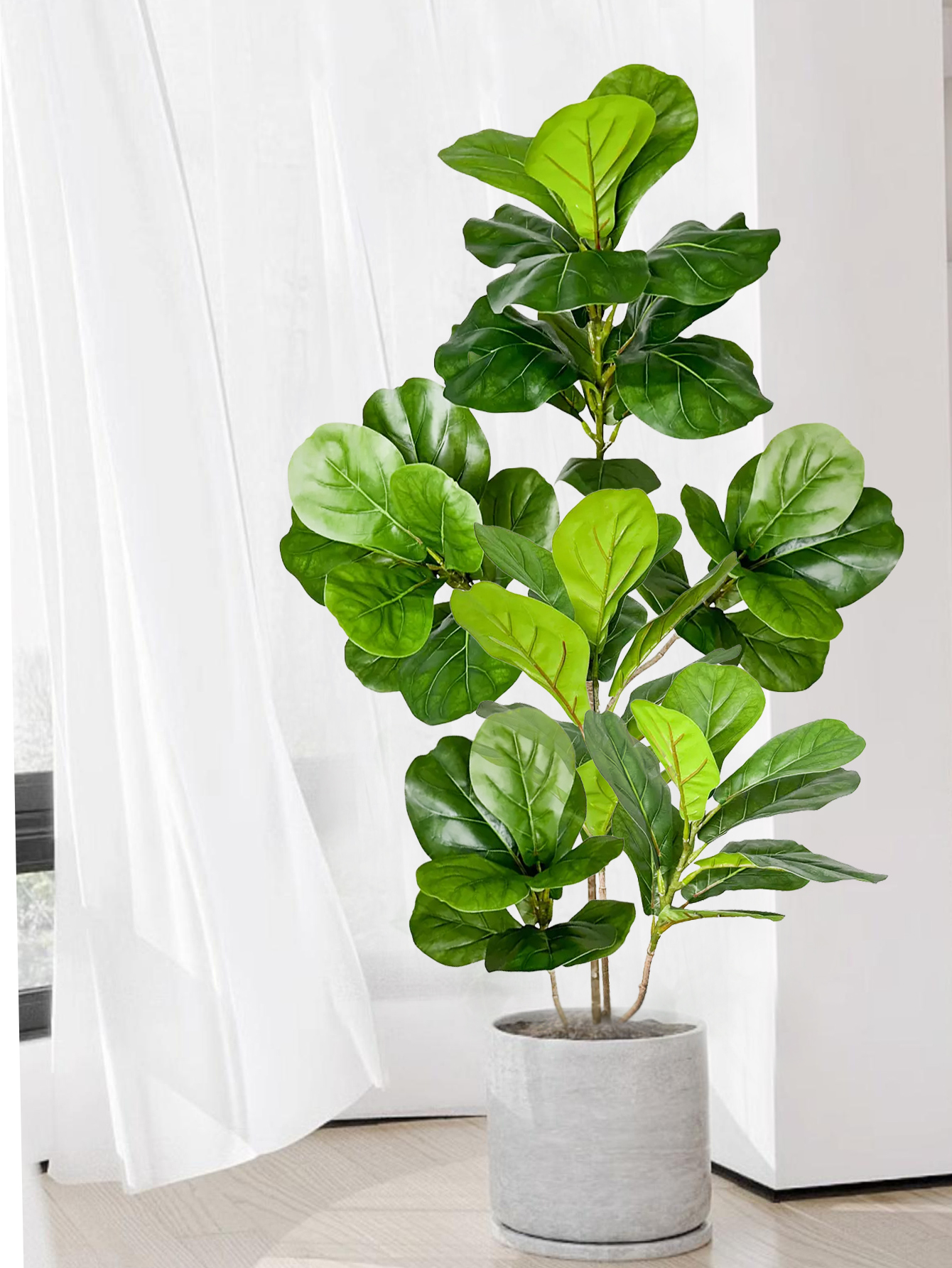 70-135cm Large Artificial Ficu - مراجعة Dracaena Marginata وسعره