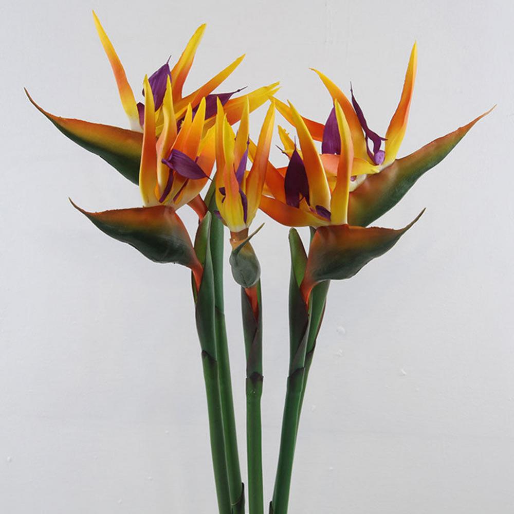 1pc 80cm Flower Bird Of Paradi - مراجعة Bird Paradise Strelitzia وسعره