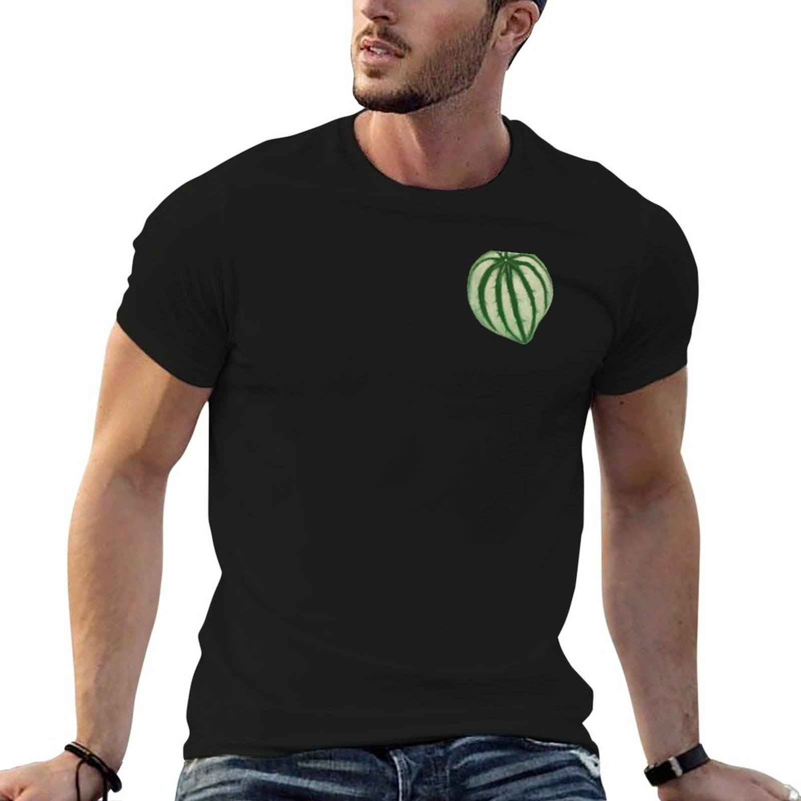 Watermelon Peperomia T-Shirt m - مراجعة Peperomia Watermelon وسعره