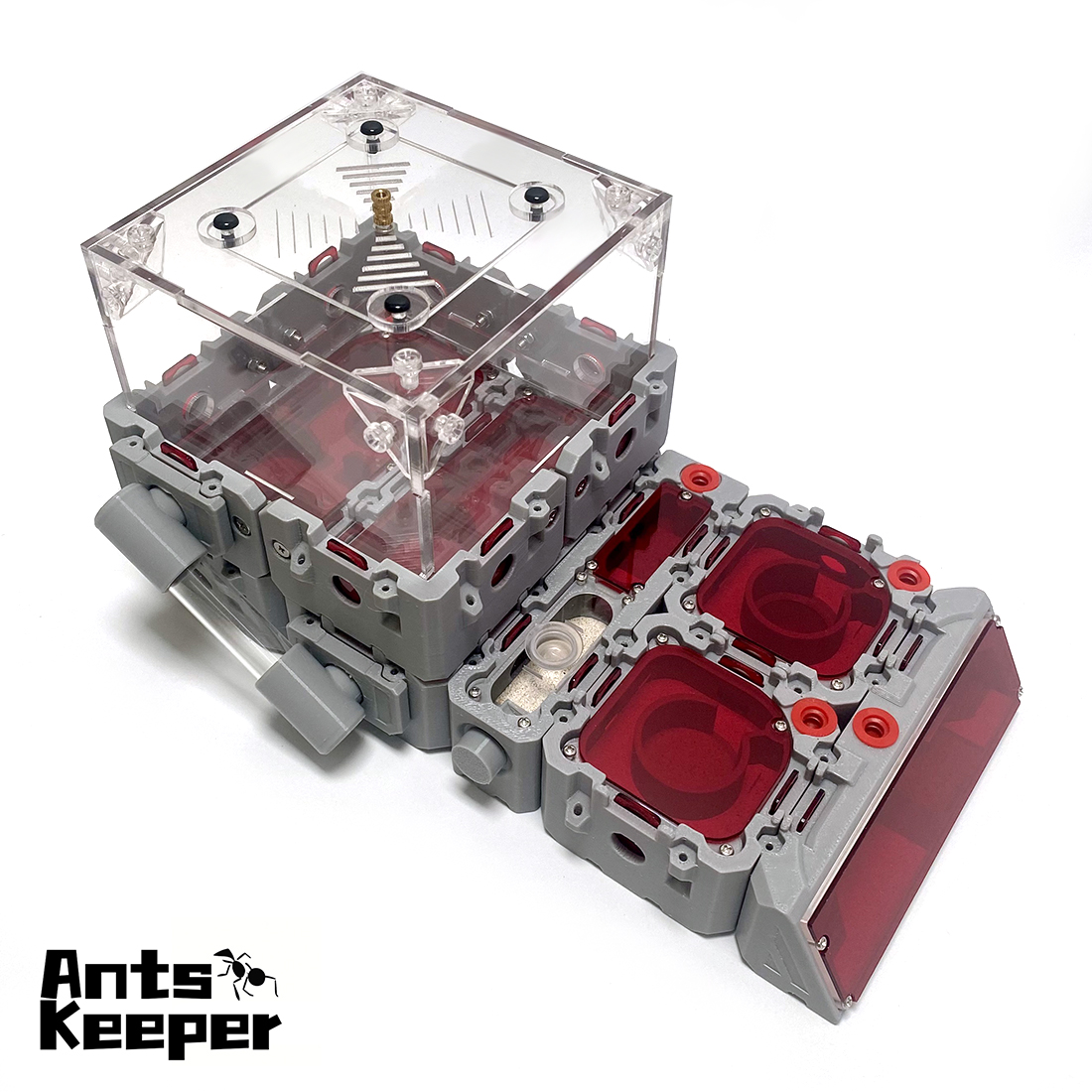 【Lego】Expandable Modular Formi - مراجعة Begonia Rex وسعره