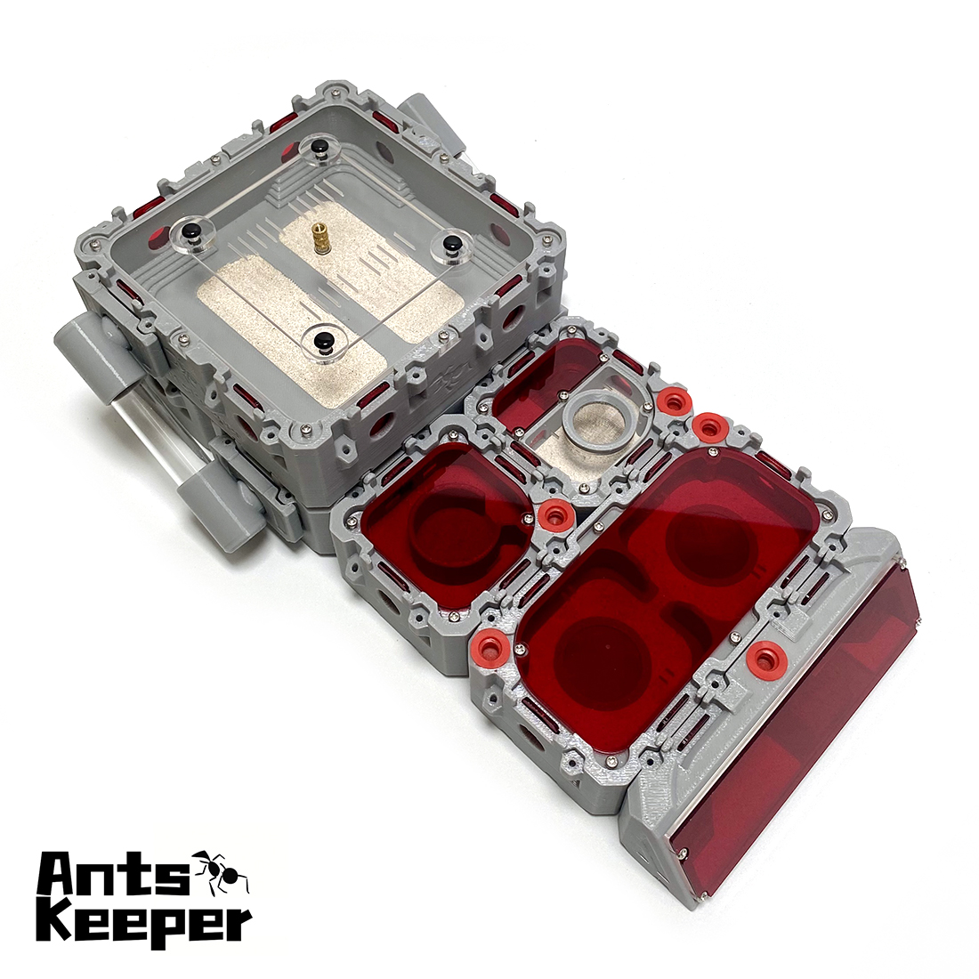 【Lego】Expandable Modular Formi - مراجعة Begonia Rex وسعره