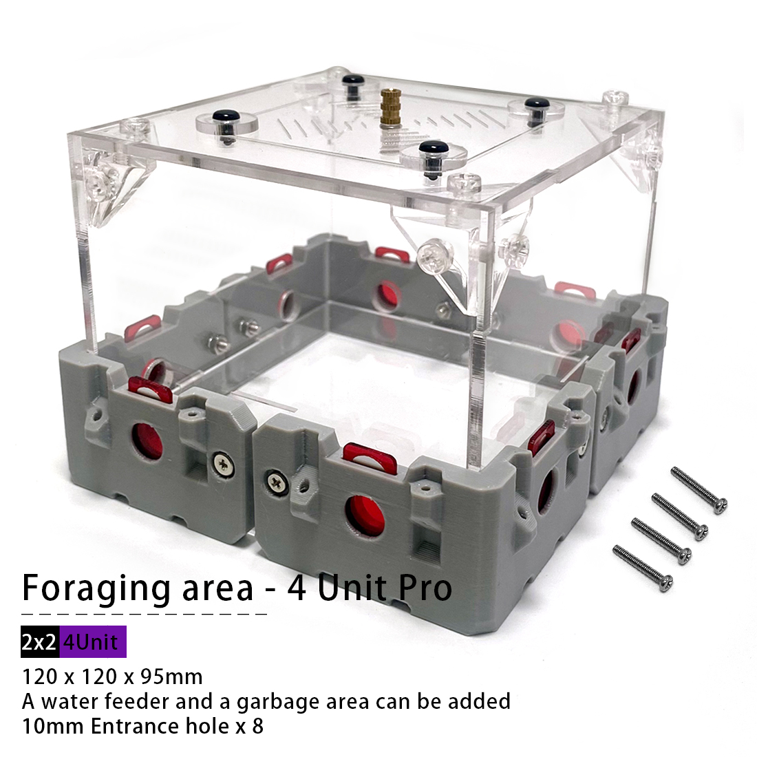 【Lego】Expandable Modular Formi - مراجعة Begonia Rex وسعره
