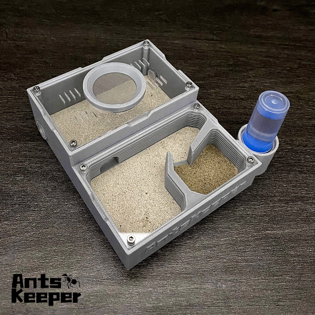 【One Section】Flat Ant Farm for - مراجعة Begonia Rex وسعره