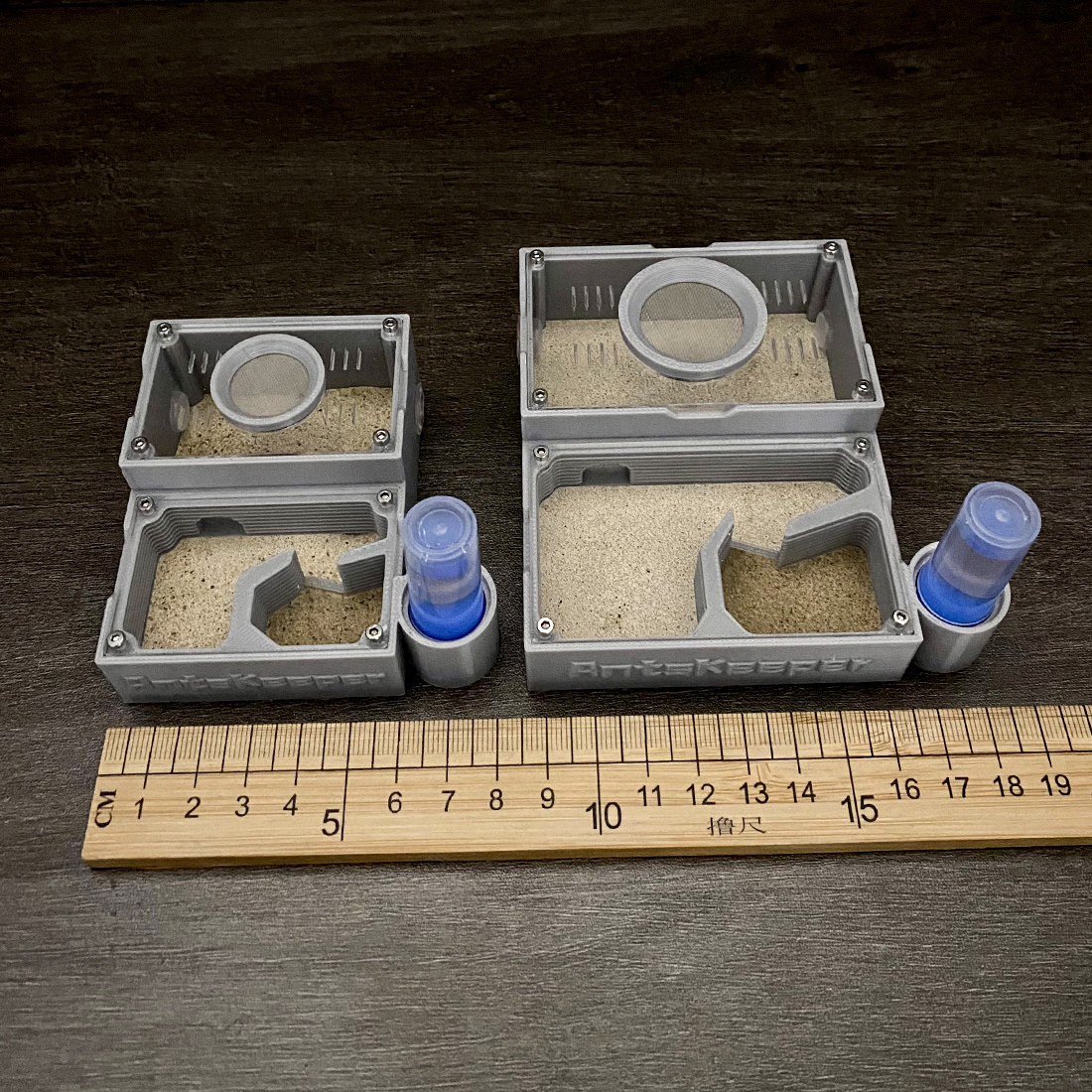 【One Section】Flat Ant Farm for - مراجعة Begonia Rex وسعره