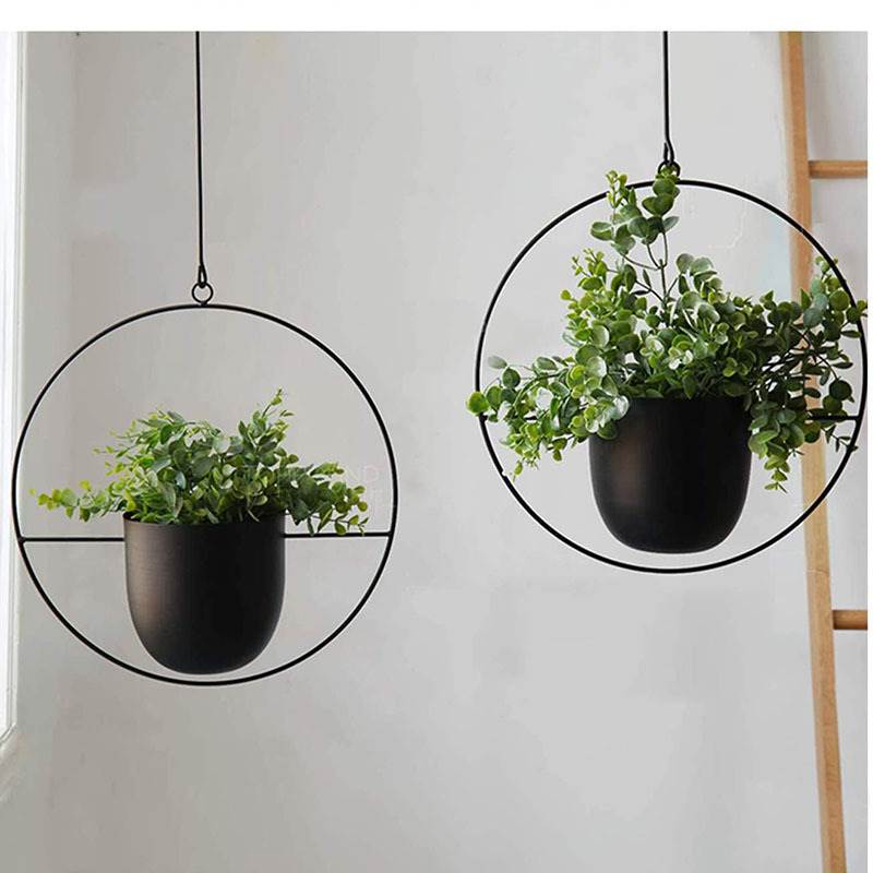 Hanging Iron Art Plant Pots Ba - مراجعة Spider Plant Hanging وسعره
