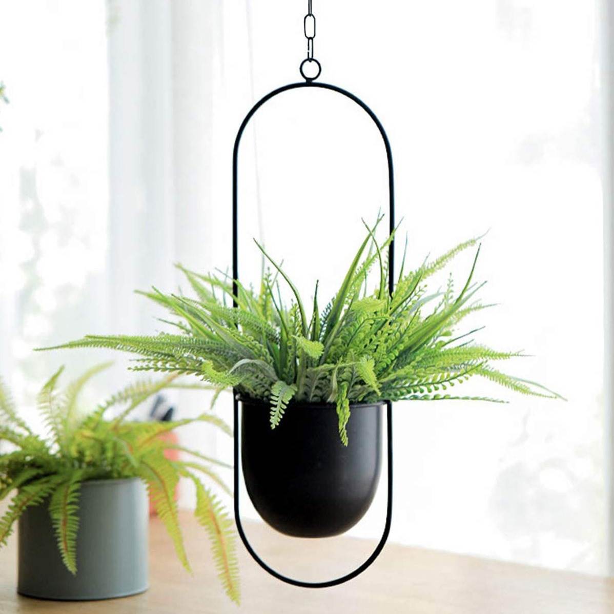 Hanging Iron Art Plant Pots Ba - مراجعة Spider Plant Hanging وسعره