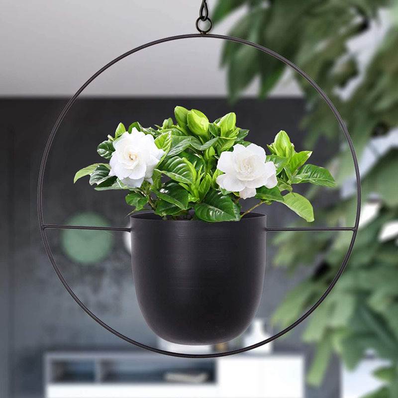 Hanging Iron Art Plant Pots Ba - مراجعة Spider Plant Hanging وسعره