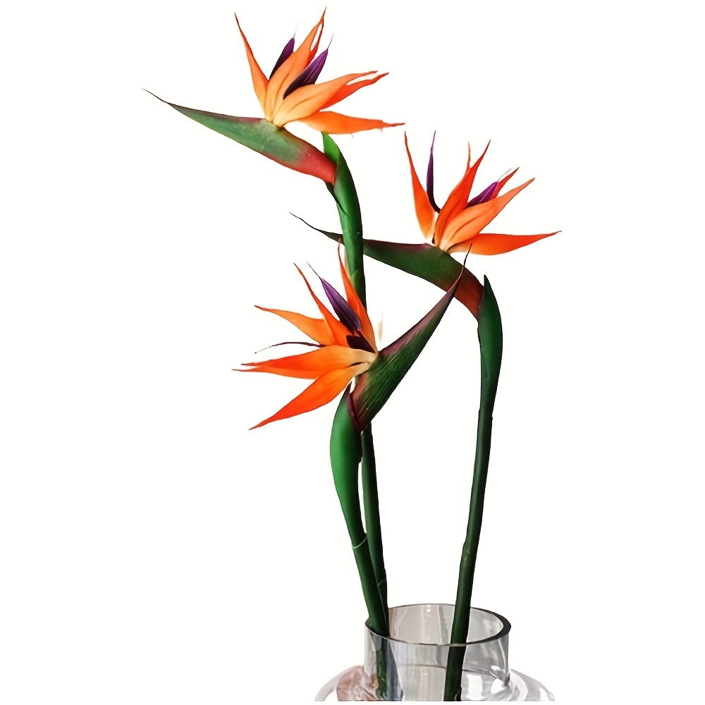 3Pcs Artificial Heaven Bird Fl - مراجعة Bird Paradise Strelitzia وسعره