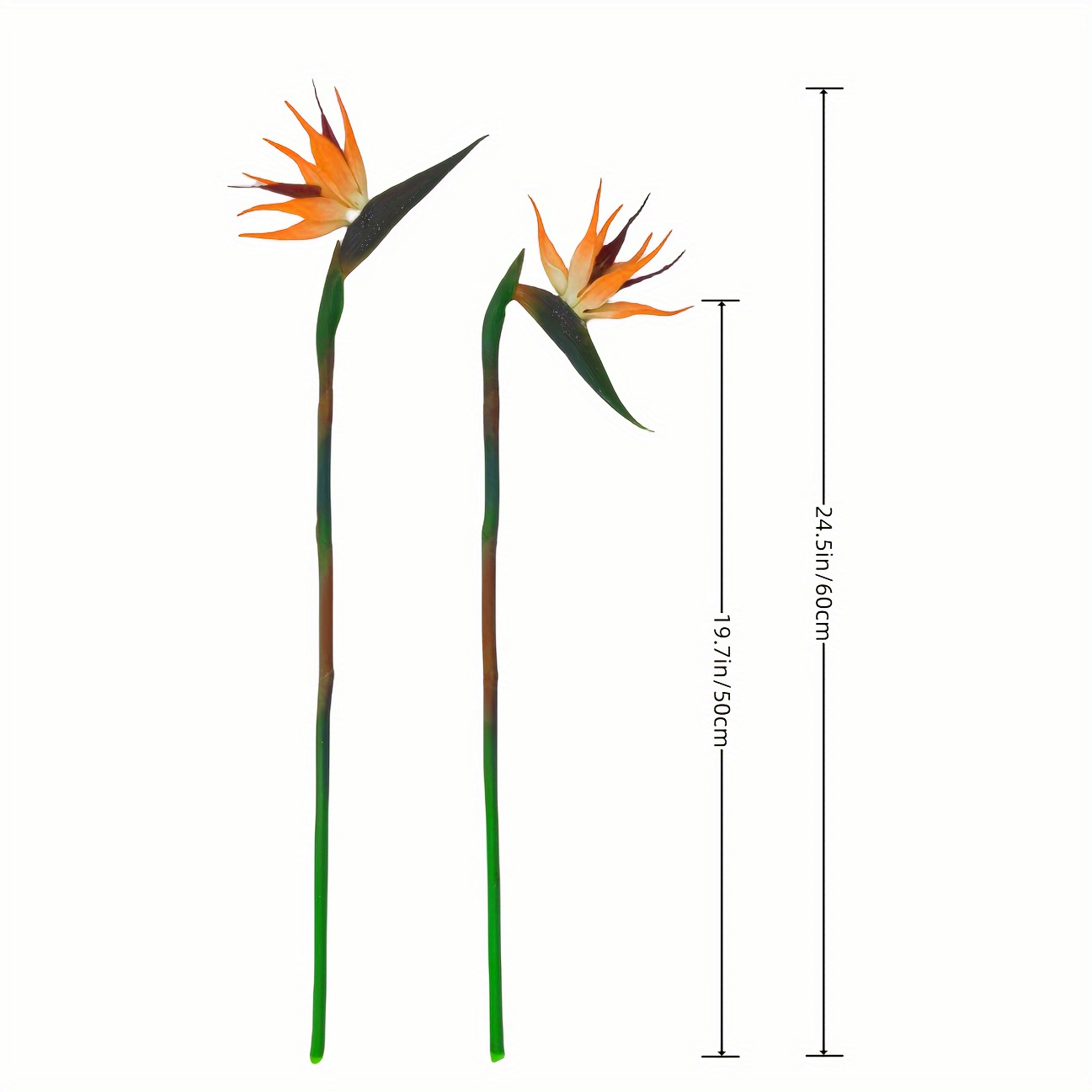 3Pcs Artificial Heaven Bird Fl - مراجعة Bird Paradise Strelitzia وسعره