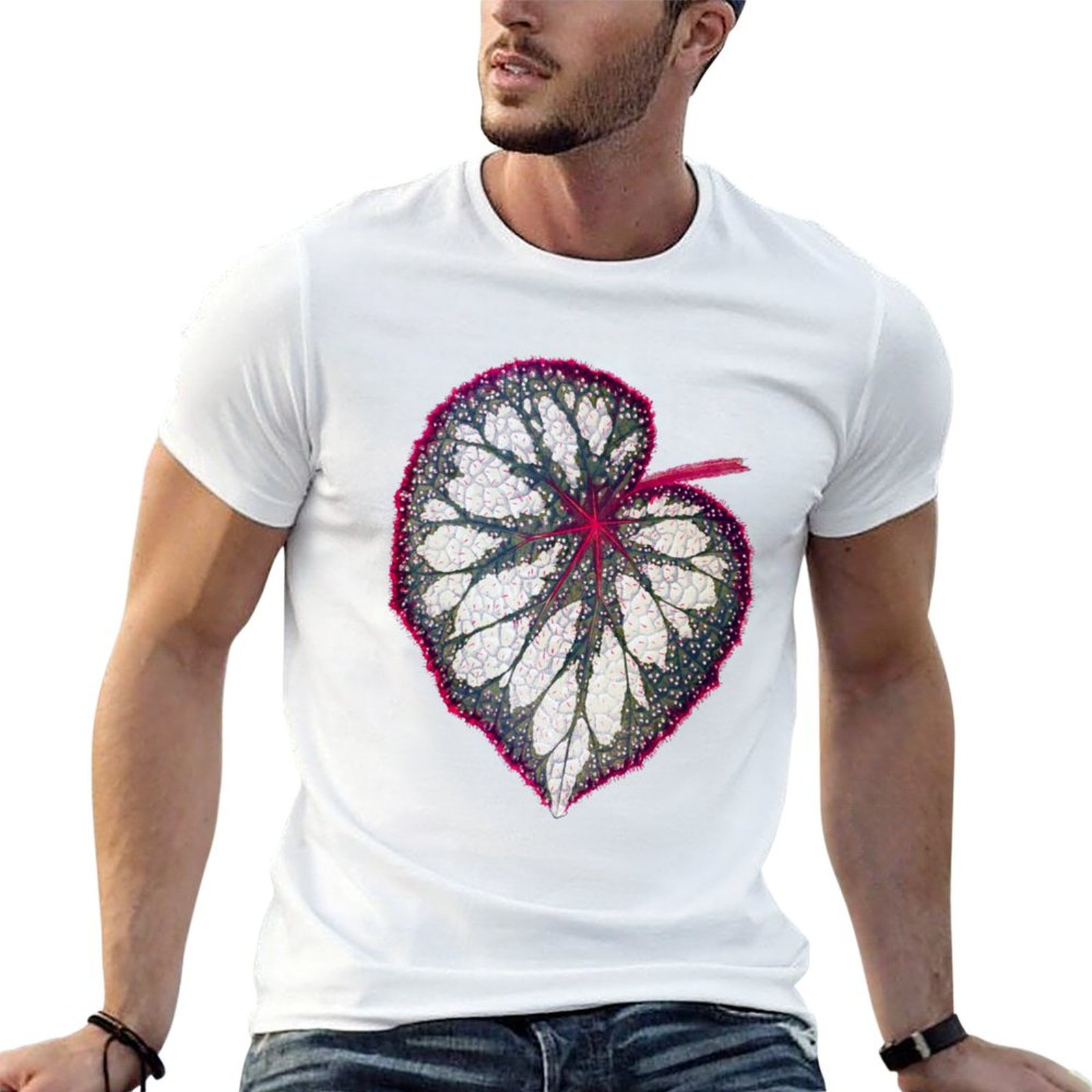 Begonia rex T-Shirt man graphi - مراجعة Begonia Rex وسعره