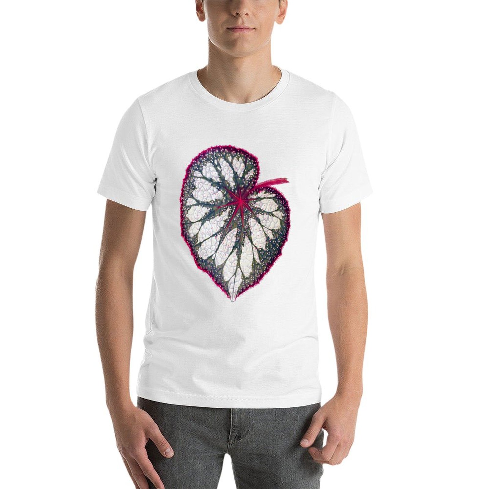 Begonia rex T-Shirt man graphi - مراجعة Begonia Rex وسعره