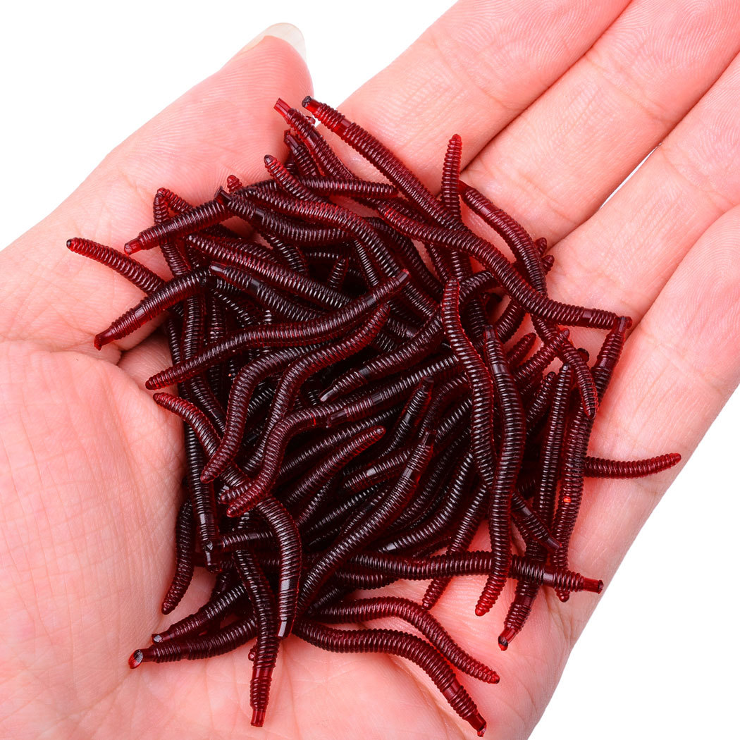 20PCS-100PCS 3.5cm 0.15g Soft  - مراجعة Aglaonema Red وسعره