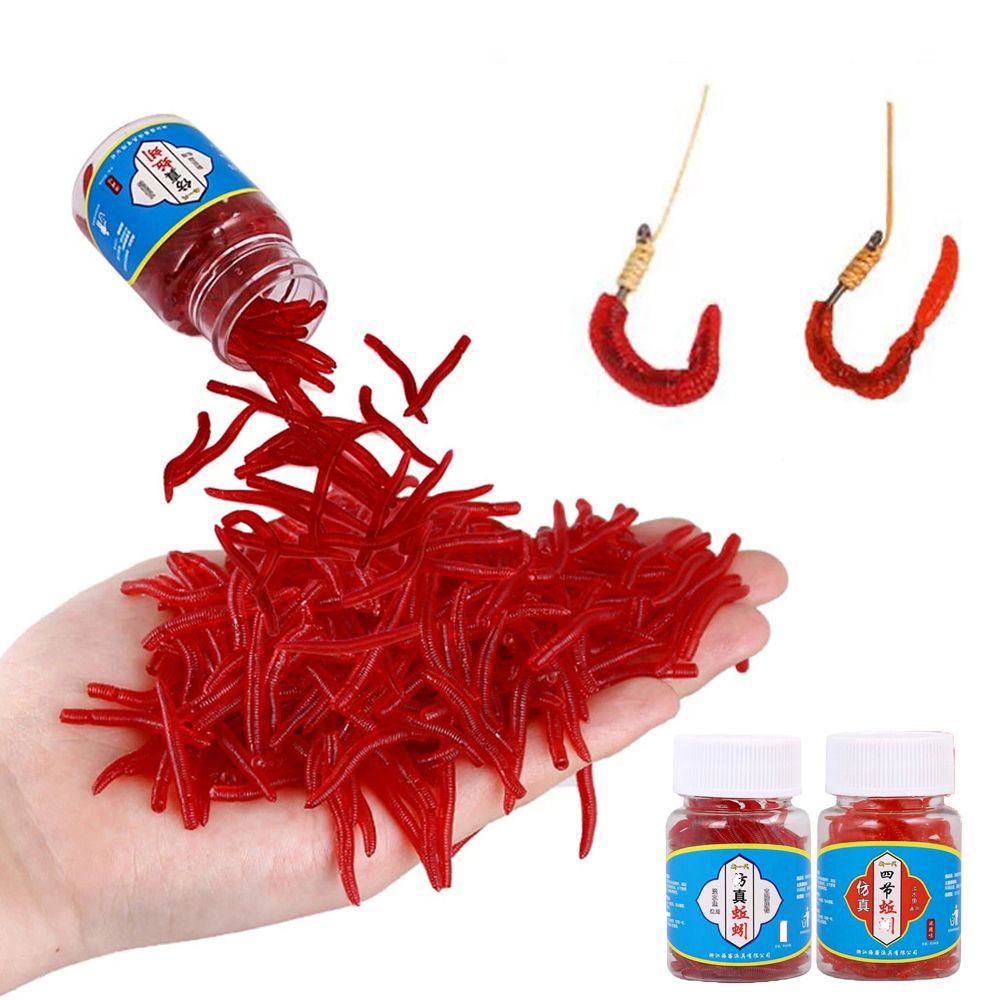 100pcs/Bottle Realistic Tackle - مراجعة Aglaonema Red وسعره