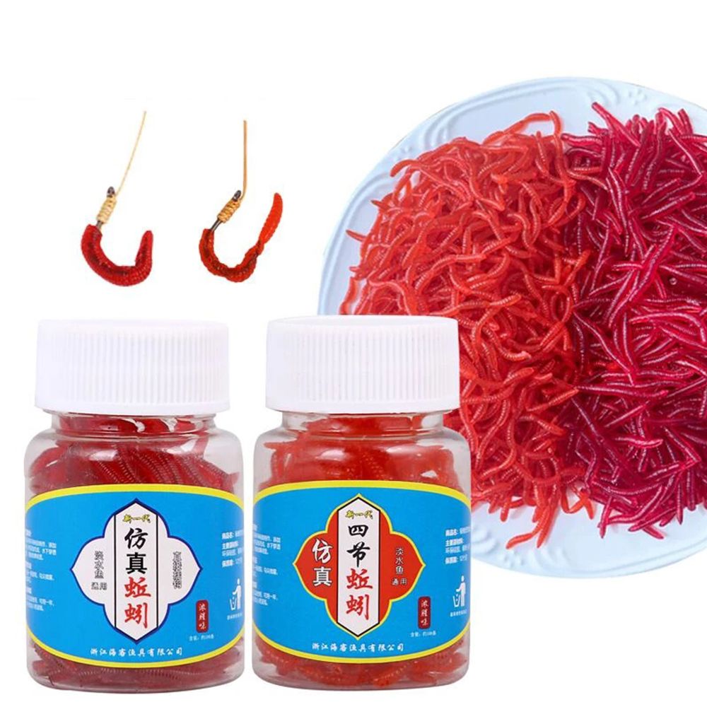 100pcs/Bottle Realistic Tackle - مراجعة Aglaonema Red وسعره