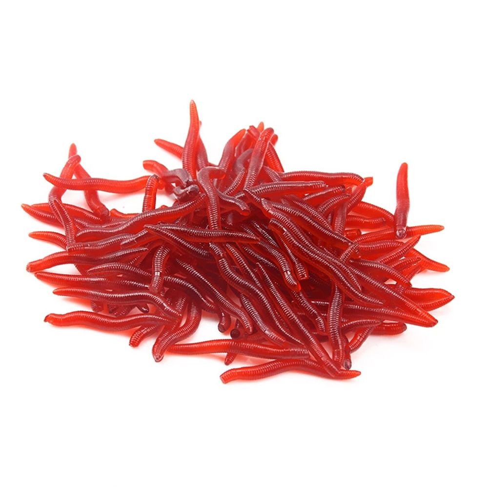 100pcs/Bottle Realistic Tackle - مراجعة Aglaonema Red وسعره