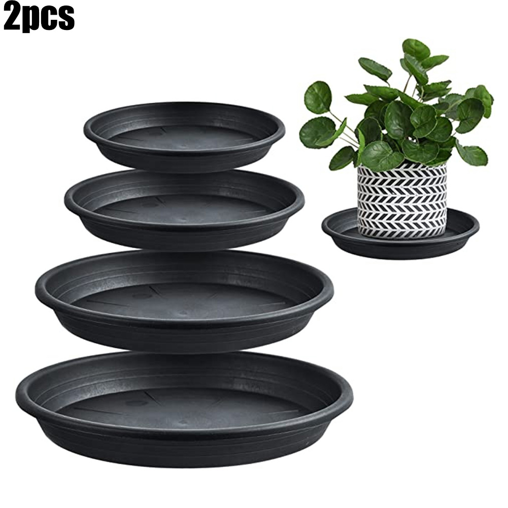 2pcs Plant Trays Round Succule - مراجعة Echeveria Succulent وسعره
