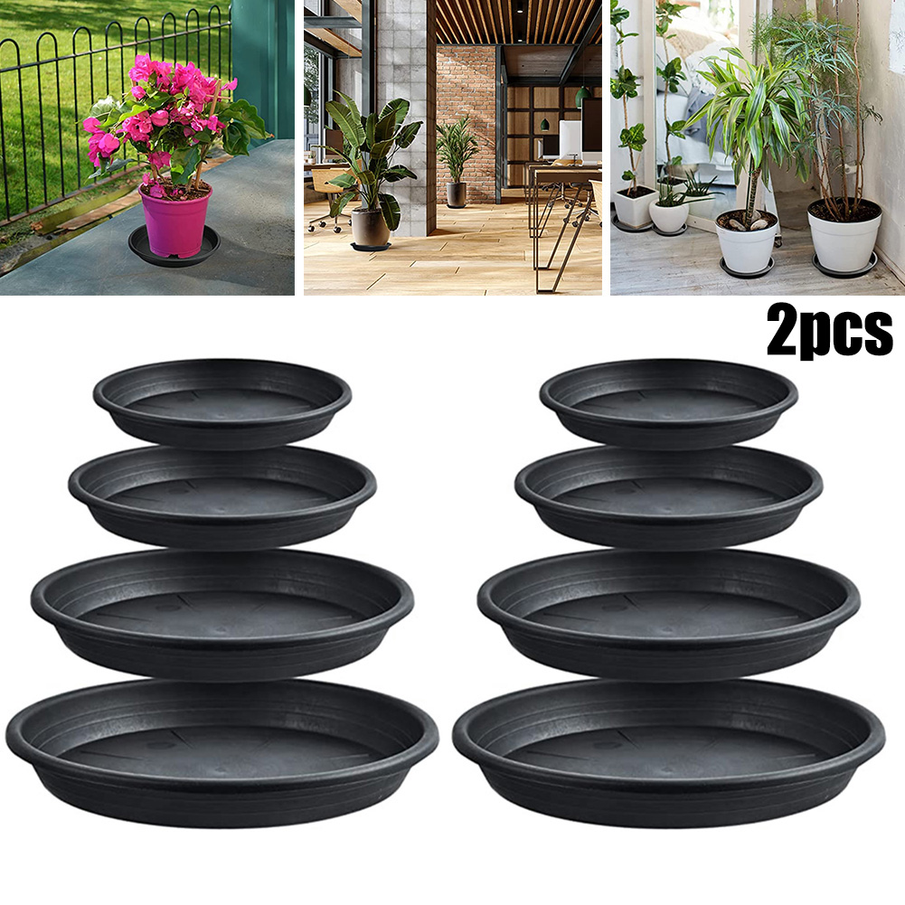 2pcs Plant Trays Round Succule - مراجعة Echeveria Succulent وسعره