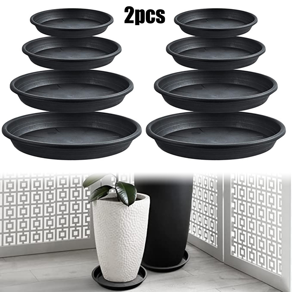 2pcs Plant Trays Round Succule - مراجعة Echeveria Succulent وسعره