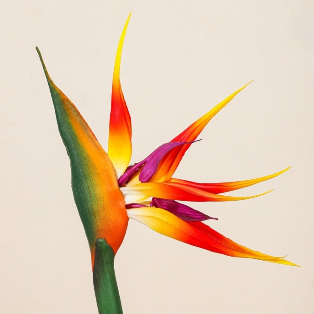 Long Stem Artificial Bird of P - مراجعة Bird Paradise Strelitzia وسعره
