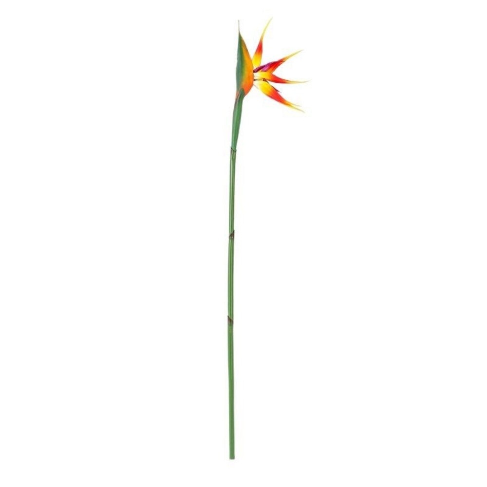 Long Stem Artificial Bird of P - مراجعة Bird Paradise Strelitzia وسعره