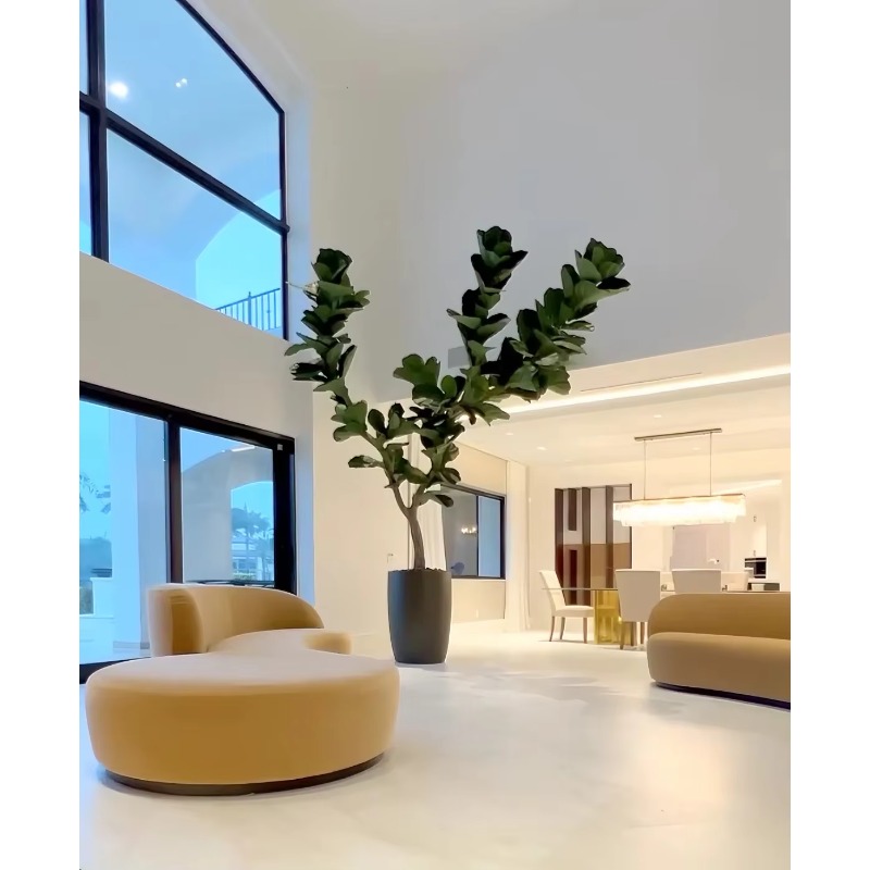 Artificial Plants Indoor Potte - مراجعة Ficus Lyrata Tree وسعره