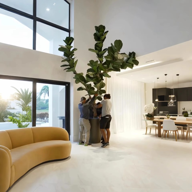 Artificial Plants Indoor Potte - مراجعة Ficus Lyrata Tree وسعره