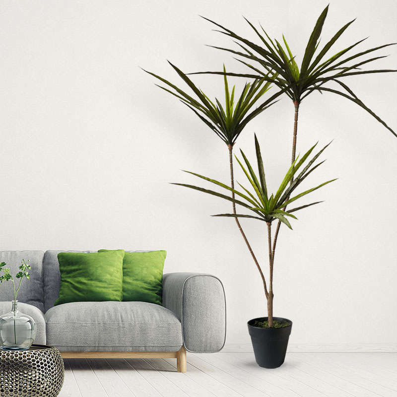 90-120cm Large Artificial Drac - مراجعة Dracaena Marginata وسعره