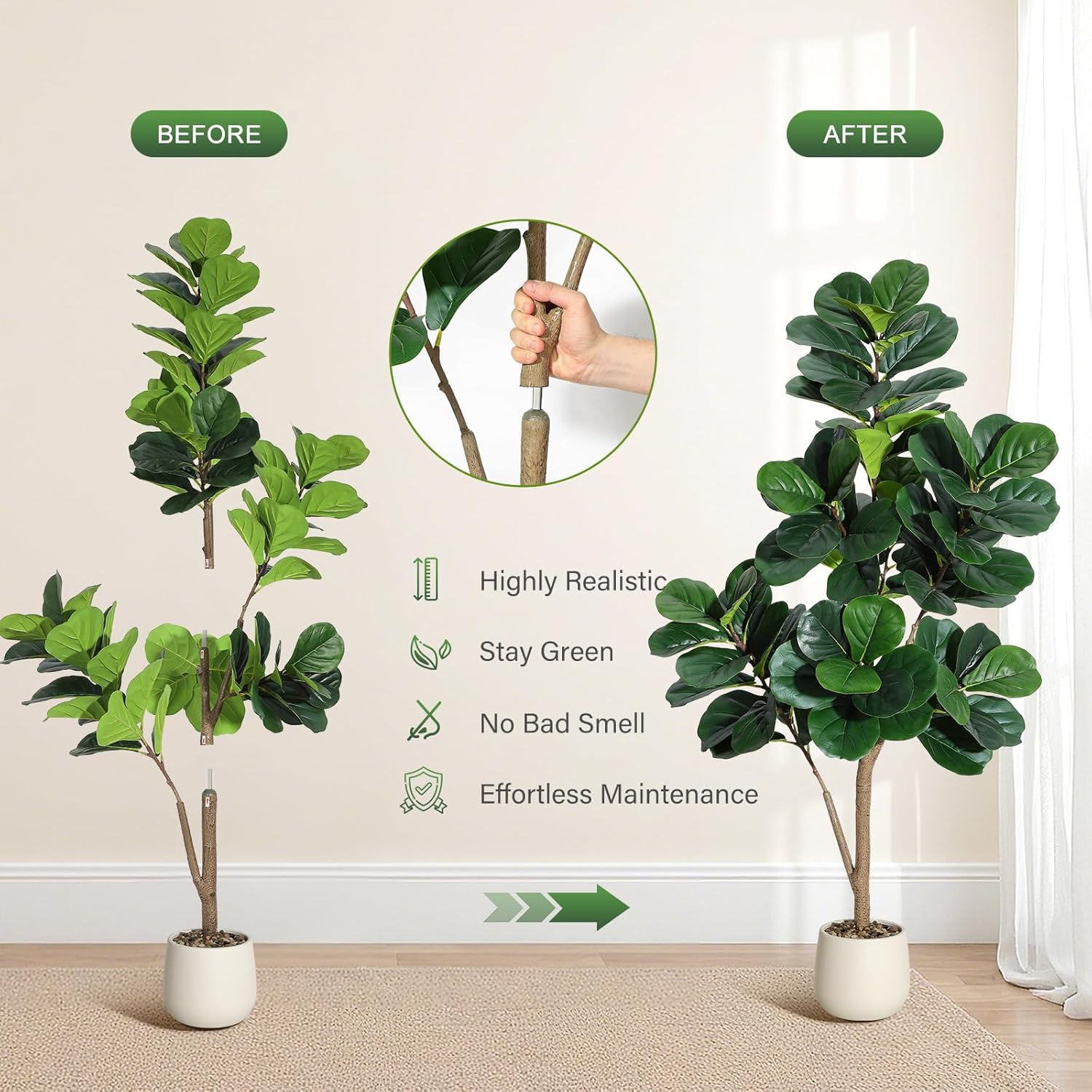 4-7 FT Fiddle Leaf Fig Tree Ar - مراجعة Ficus Lyrata Tree وسعره