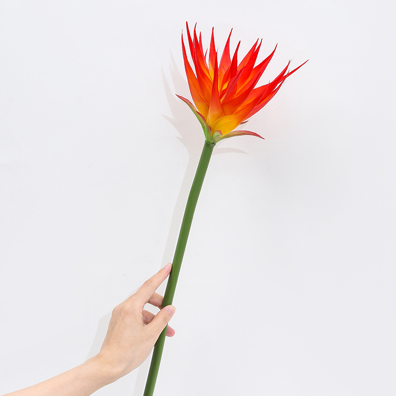 1PC Artificial Bird of Paradis - مراجعة Bird Paradise Strelitzia وسعره