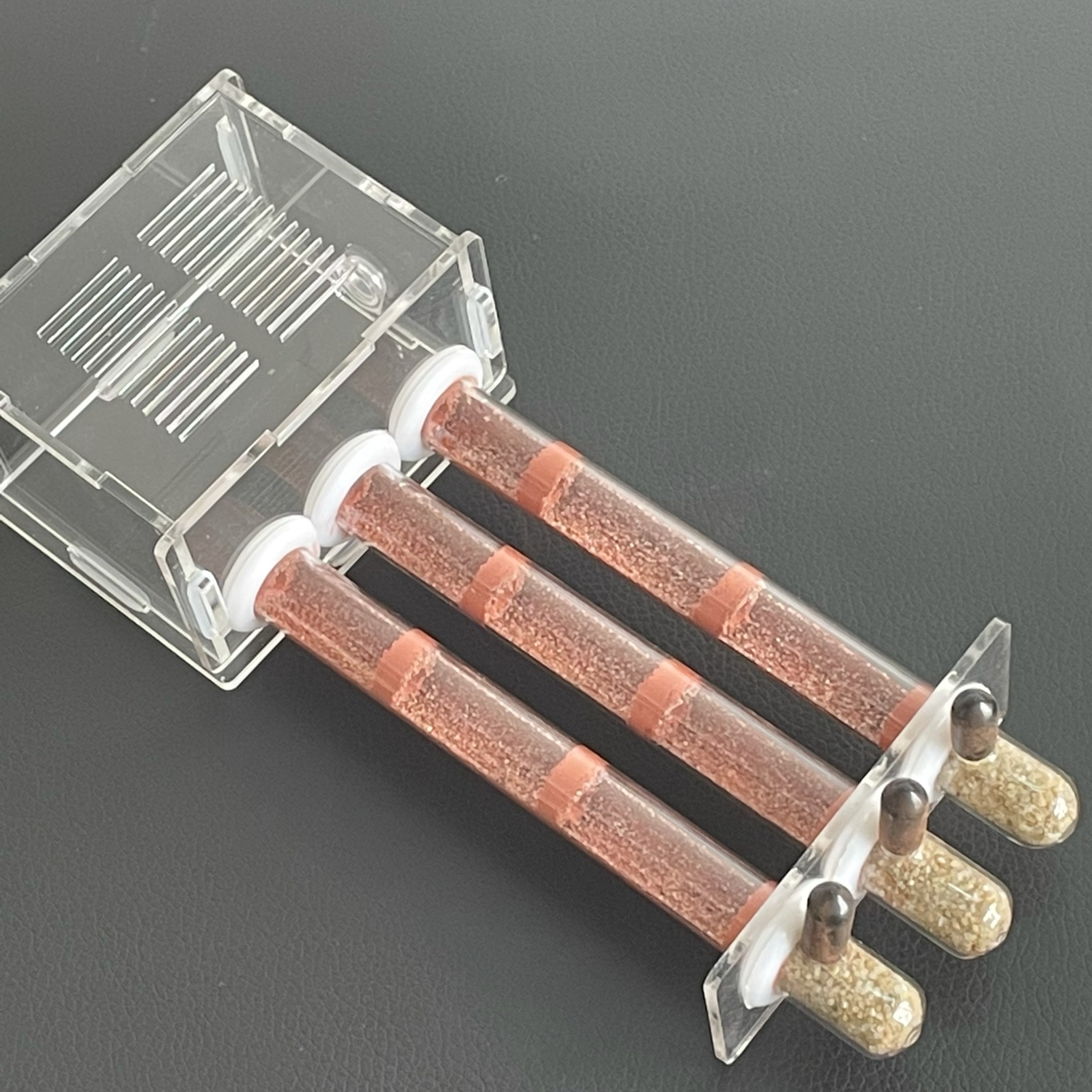 Ecological moisturing sand Ant - مراجعة Begonia Rex وسعره