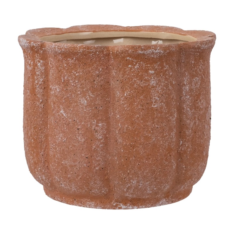 8in Terracotta Flower Planter  - مراجعة Aloe Vera Pot وسعره