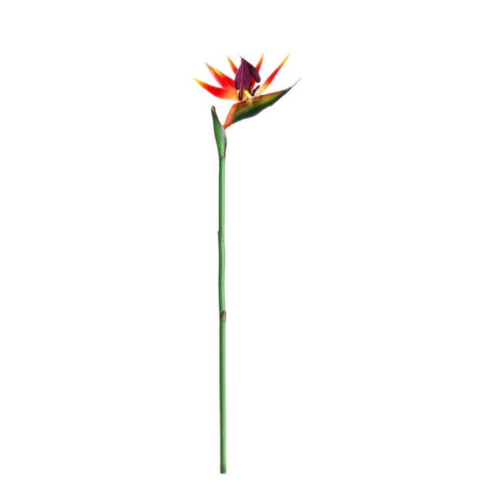 Long Stem Artificial Bird of P - مراجعة Bird Paradise Strelitzia وسعره