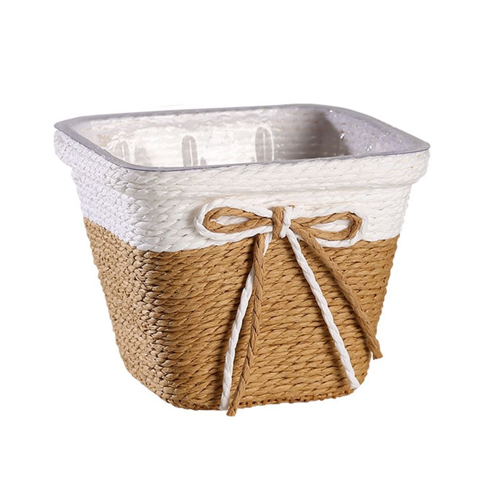 Paper Rope Braided Braided Flo - مراجعة Aloe Vera Pot وسعره
