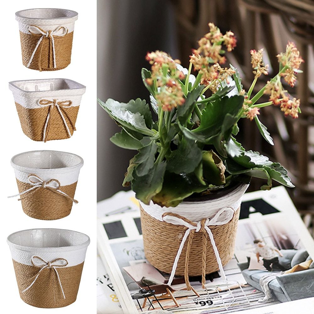 Paper Rope Braided Braided Flo - مراجعة Aloe Vera Pot وسعره