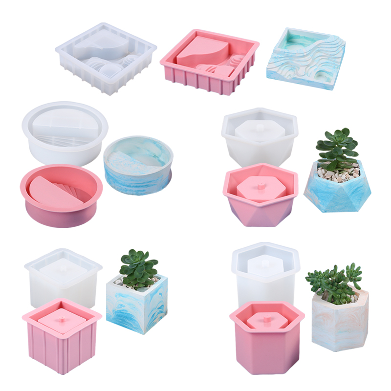 Succulent Flowerpot Silicone M - مراجعة Echeveria Succulent وسعره