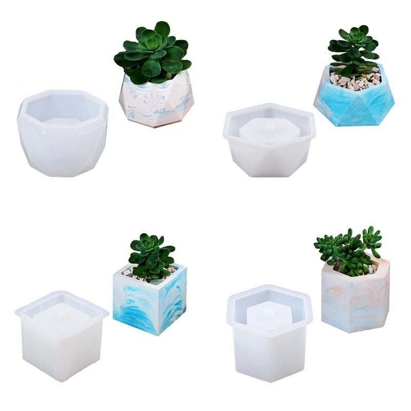 Succulent Flowerpot Silicone M - مراجعة Echeveria Succulent وسعره