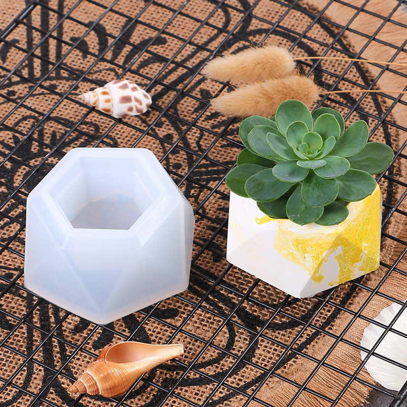 Succulent Flowerpot Silicone M - مراجعة Echeveria Succulent وسعره